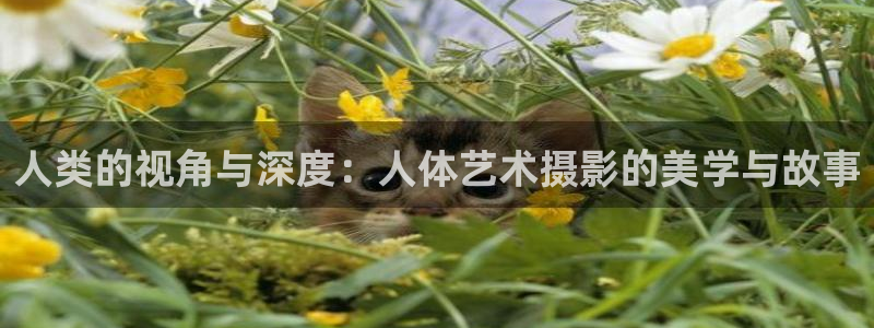 .欧美影院：人类的视角与深度：人体艺术摄影的美学与故事