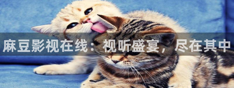 日韩影院欧美影院
