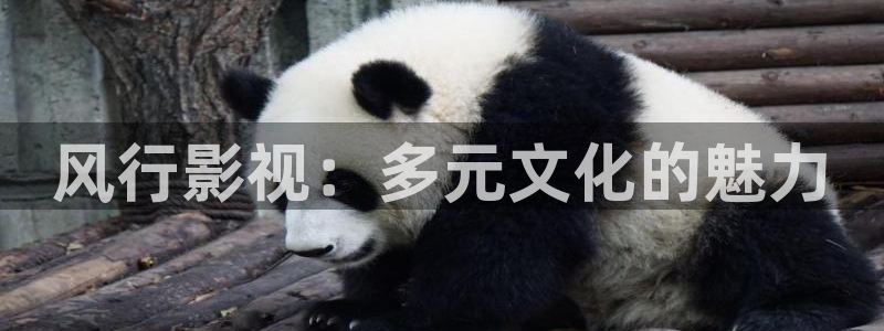 欧美影院在线观看一区二区：风行影视：多元文化的魅力