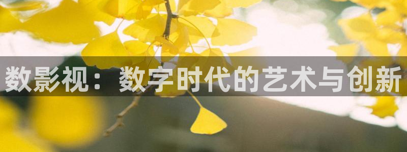 xo欧美影院