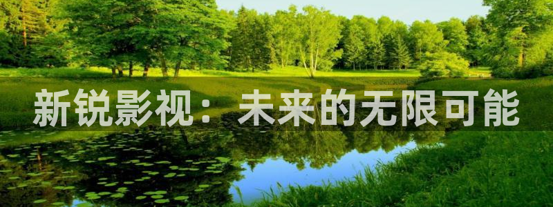 adc欧美影院：新锐影视：未来的无限可能