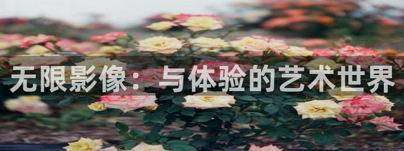欧美影院在线观看一区二区：无限影像：与体验的艺术世界