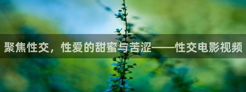 欧美影院在线观看一区二区：聚焦性交，性爱的甜蜜与苦涩——性交电影视频