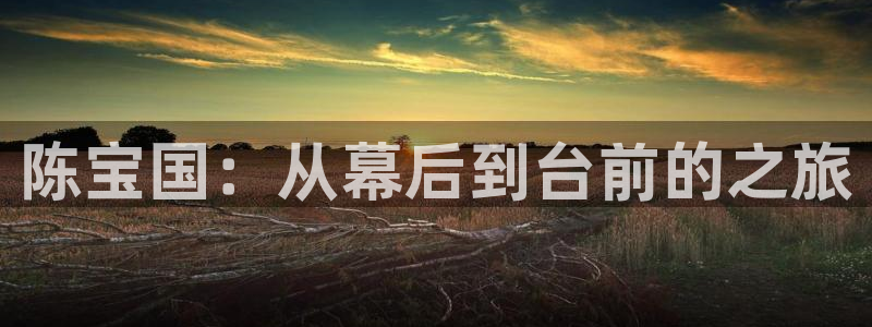 欧美影院久久影院：陈宝国：从幕后到台前的之旅