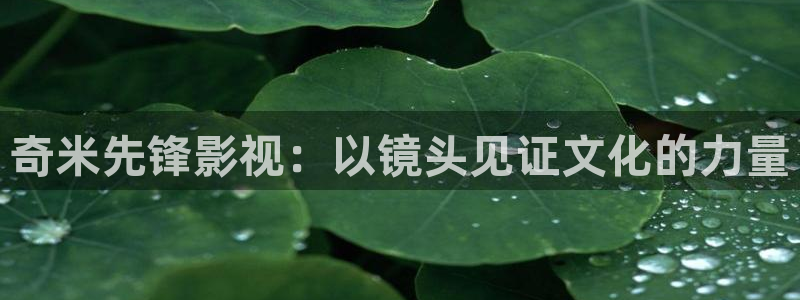 www欧美影院：奇米先锋影视：以镜头见证文化的力量