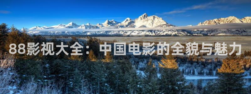 欧美影院午夜免费看：88影视大全：中国电影的全貌与魅力