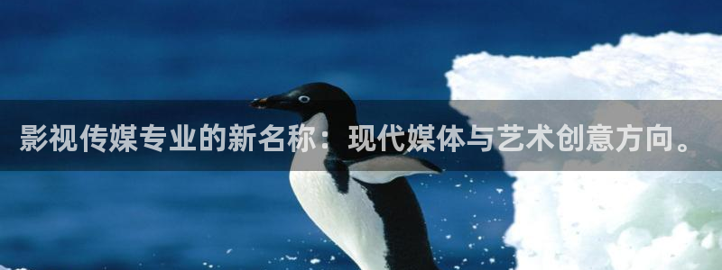 欧美影院在线观看